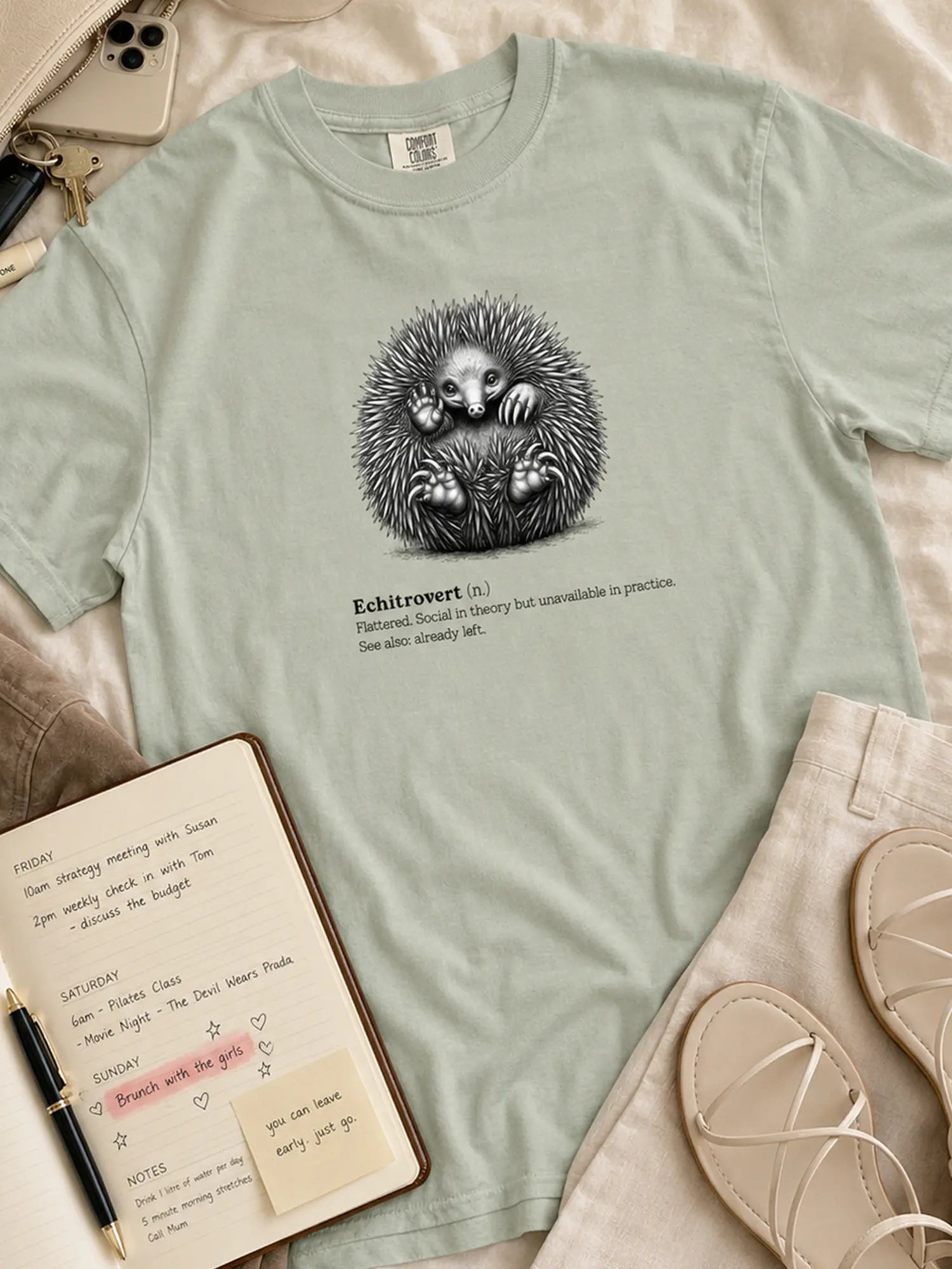 The Echitrovert t-shirt in bay styled flat lay