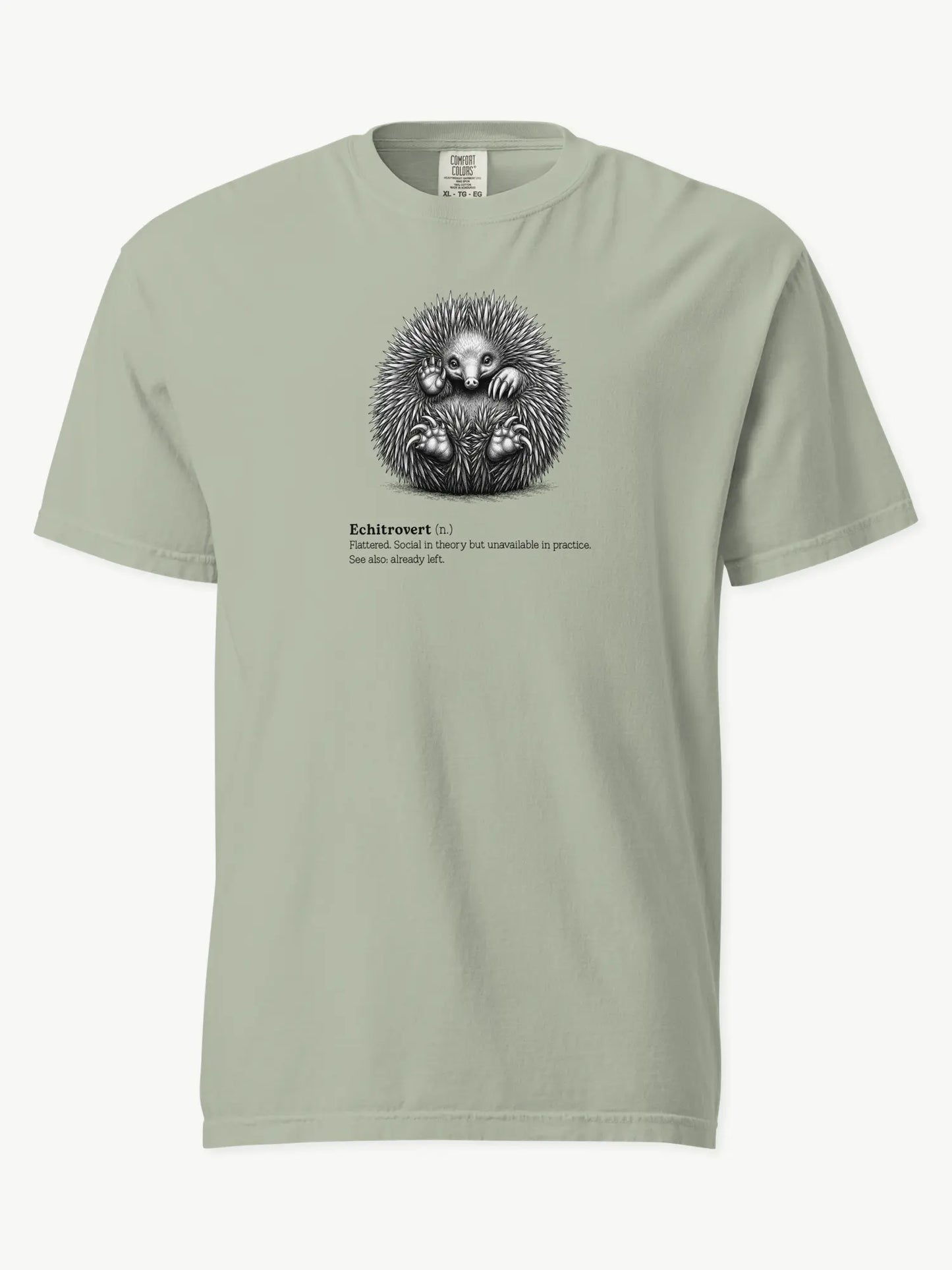 The Echitrovert t-shirt in bay