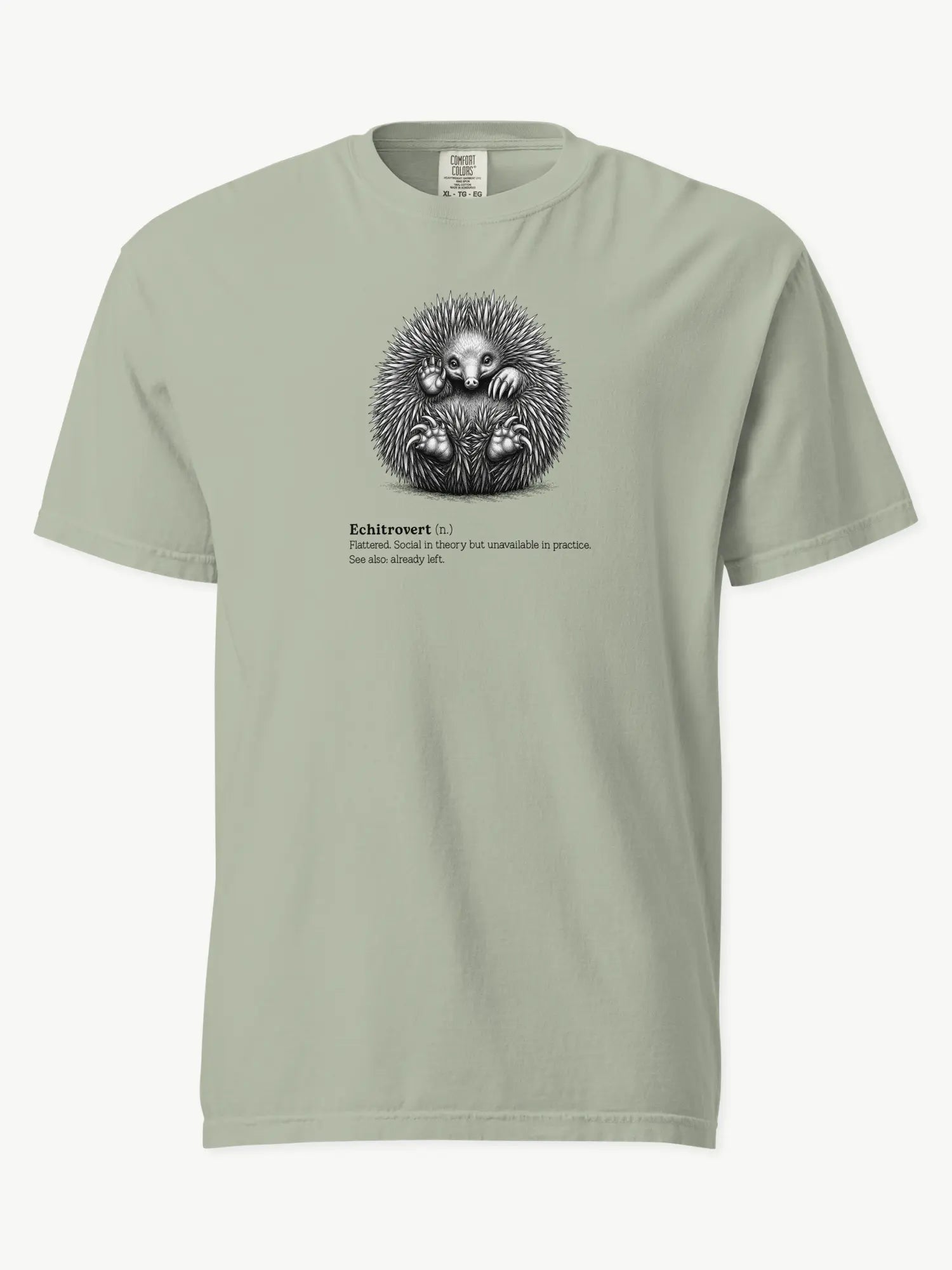 The Echitrovert t-shirt in bay