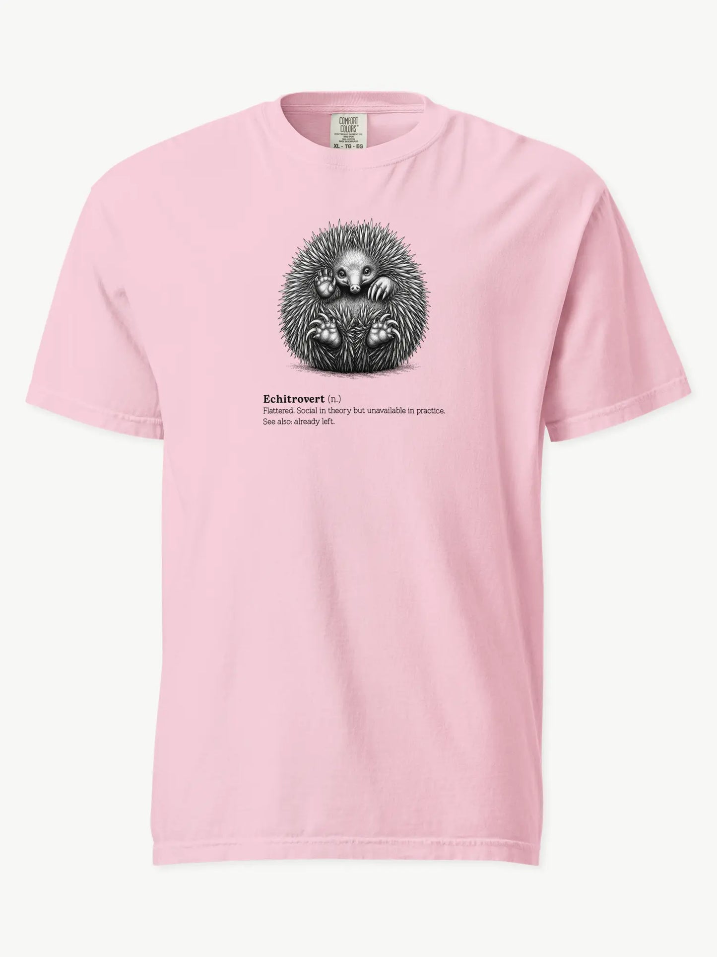 The Echitrovert t-shirt in blossom