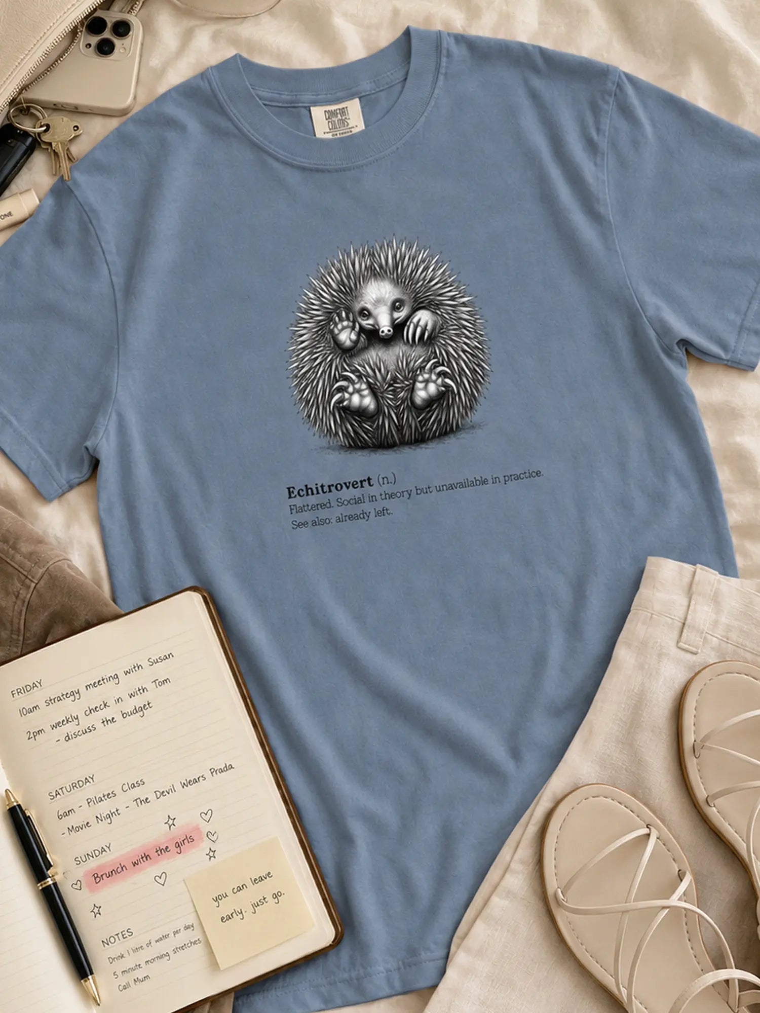 The Echitrovert t-shirt in blue jean styled flat lay