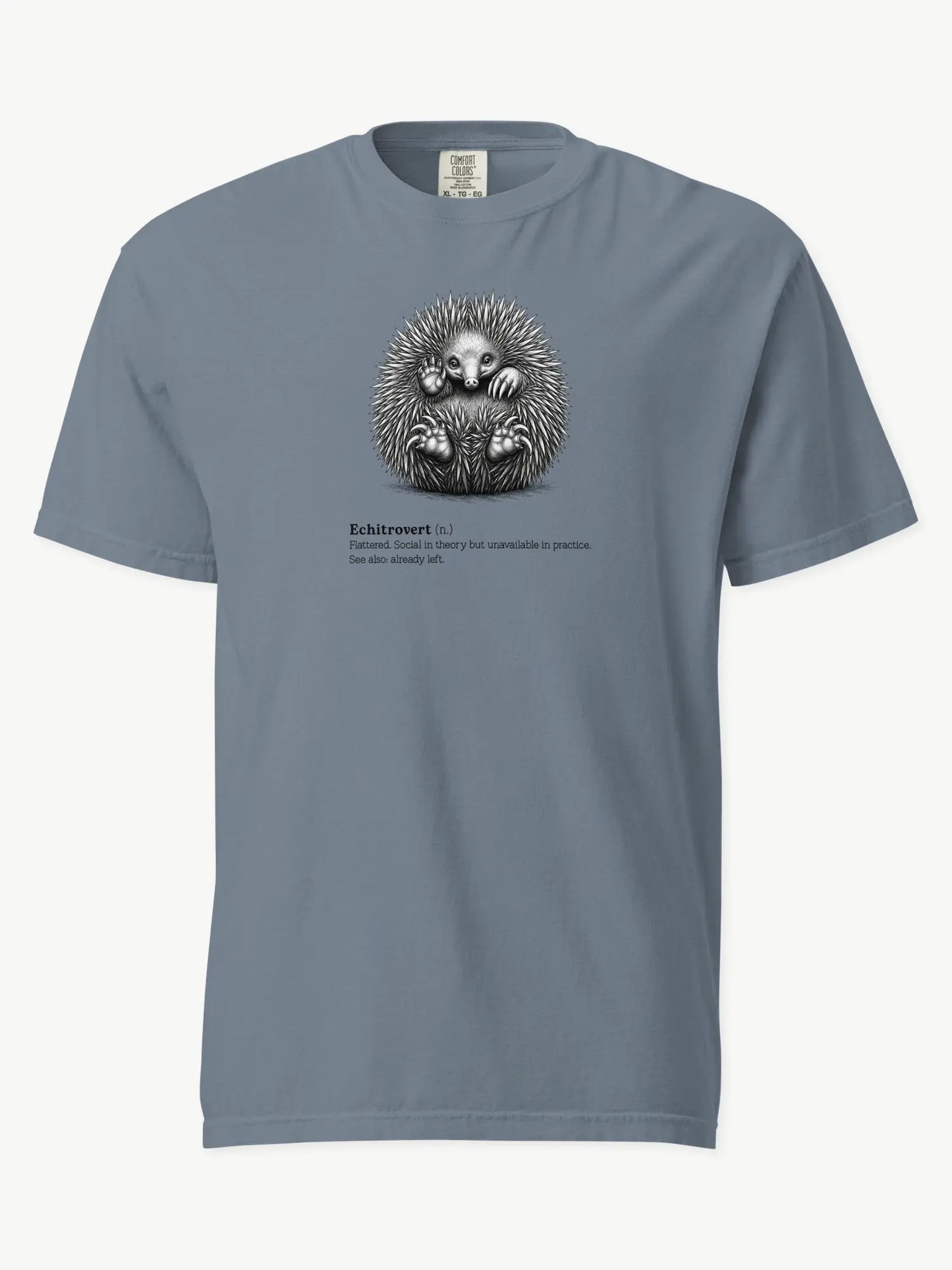 The Echitrovert t-shirt in blue jean