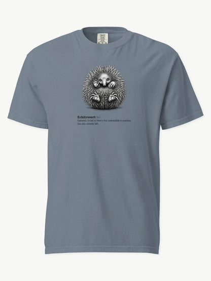 The Echitrovert t-shirt in blue jean