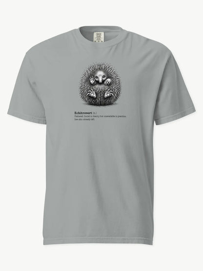 The Echitrovert t-shirt in granite
